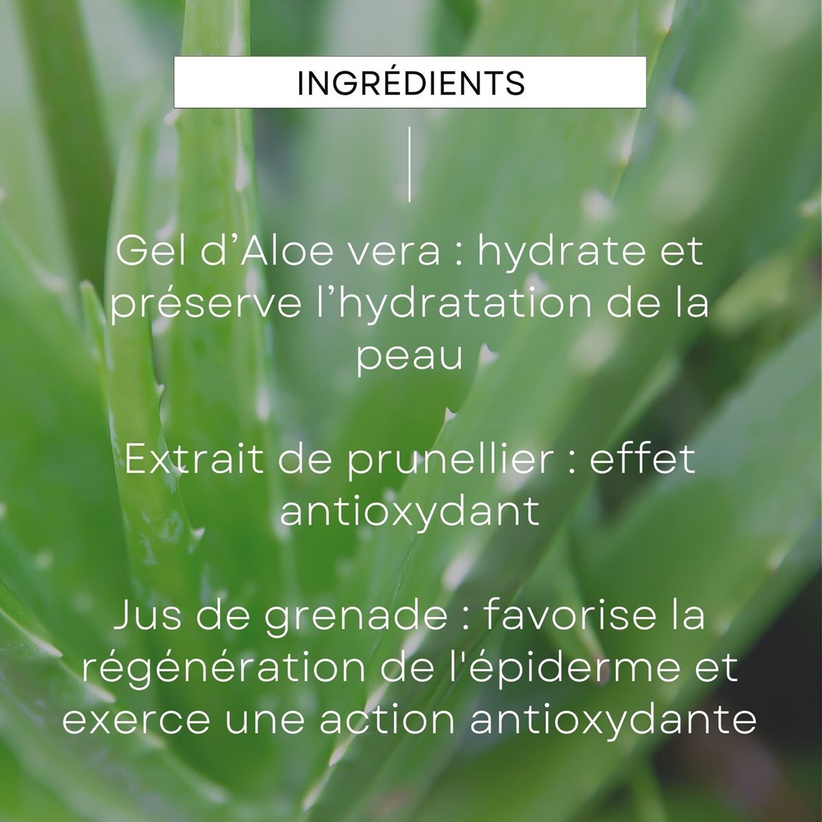 WELEDA -  Sérum 5in1 anti-âge 30ml Homme