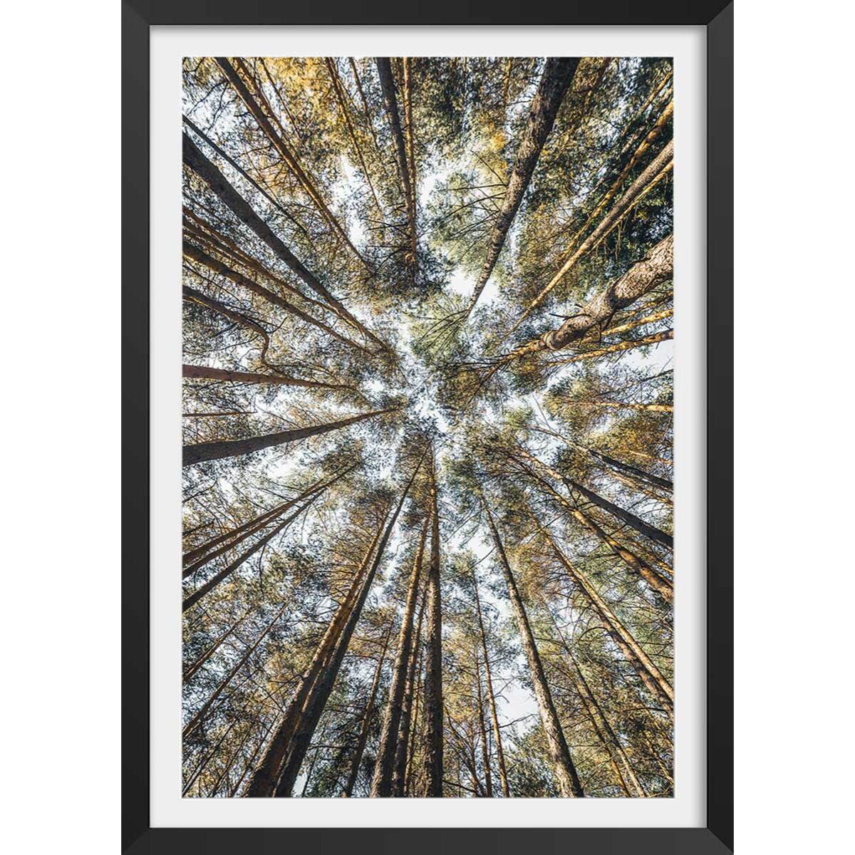 Affiche nature perspective des cîmes Affiche + cadre en bois - Noir