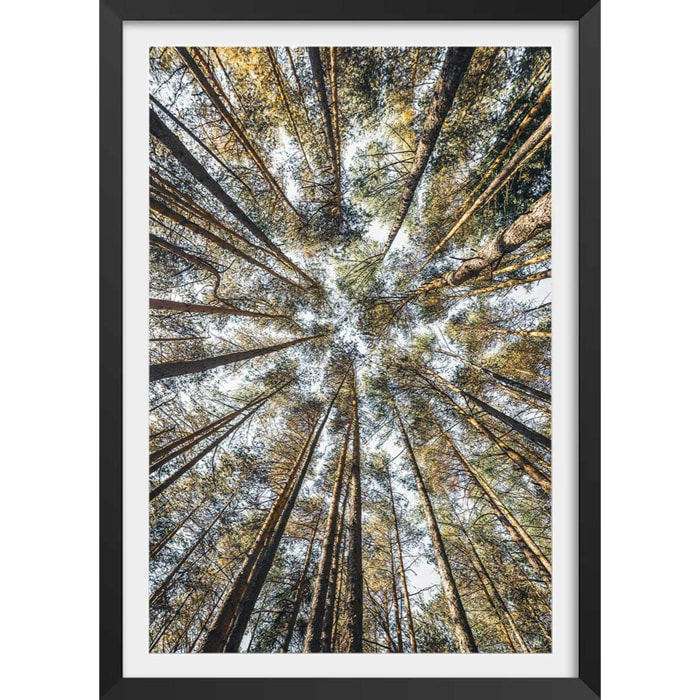 Affiche nature perspective des cîmes Affiche + cadre en bois - Noir