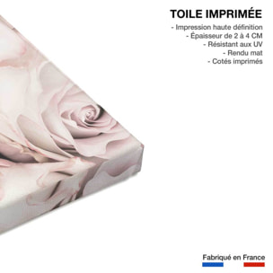 Tableau rosa alba Toile imprimée