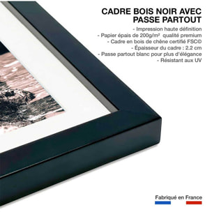 Affiche rhinoceros Affiche + cadre en bois - Noir