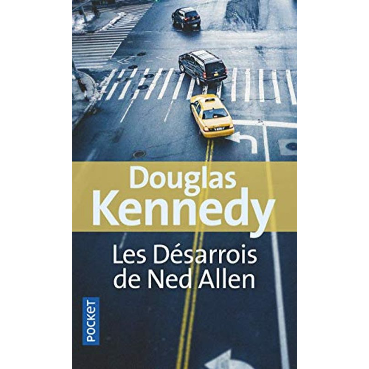 Kennedy, Douglas | Les désarrois de Ned Allen | Livre d'occasion