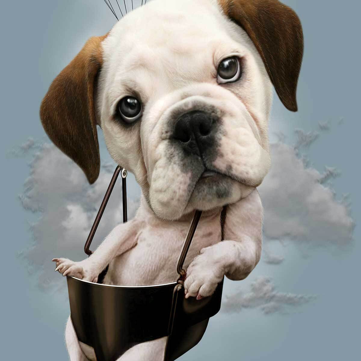 Affiche enfant chiot sur parachute  Affiche sous cadre noir