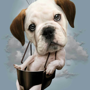 Affiche enfant chiot sur parachute  Affiche sous cadre noir