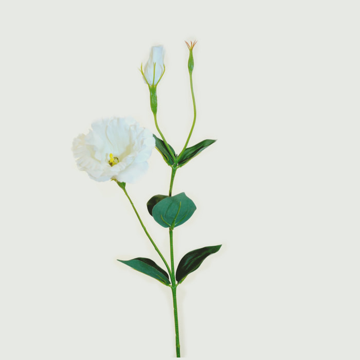 Lisianthus Composto Da 2 Fiori. Altezza 60 Cm - Pezzi 12 - 11,2X60X7,5cm - Colore: Altro - Bianchi Dino - Fiori Artificiali