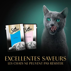 SHEBA Délices du jour 72 Sachets fraîcheur poisson en gelée pour chat 50g (6x12)