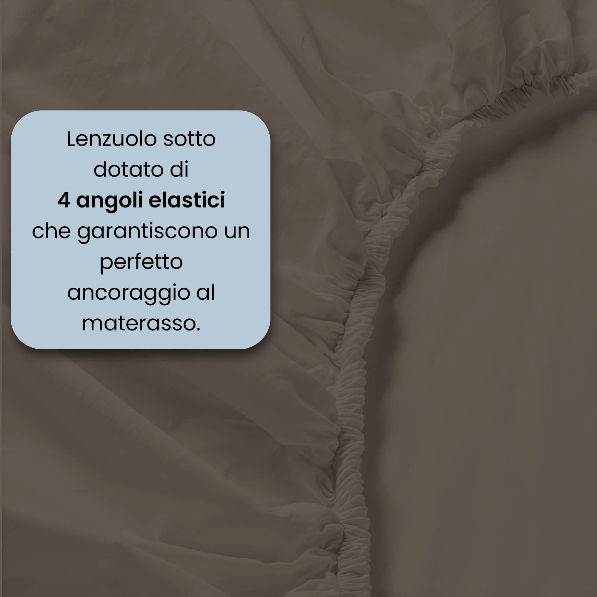 COMPLETO LETTO MAX COLOR, 100% Cotone, Made in Italy - MARRONE