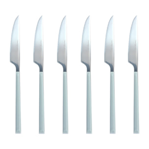 Lot de 6 couteaux gris en acier inoxydable  COLORAMA