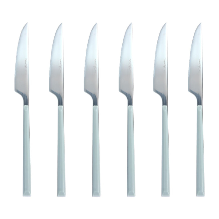 Lot de 6 couteaux gris en acier inoxydable  COLORAMA