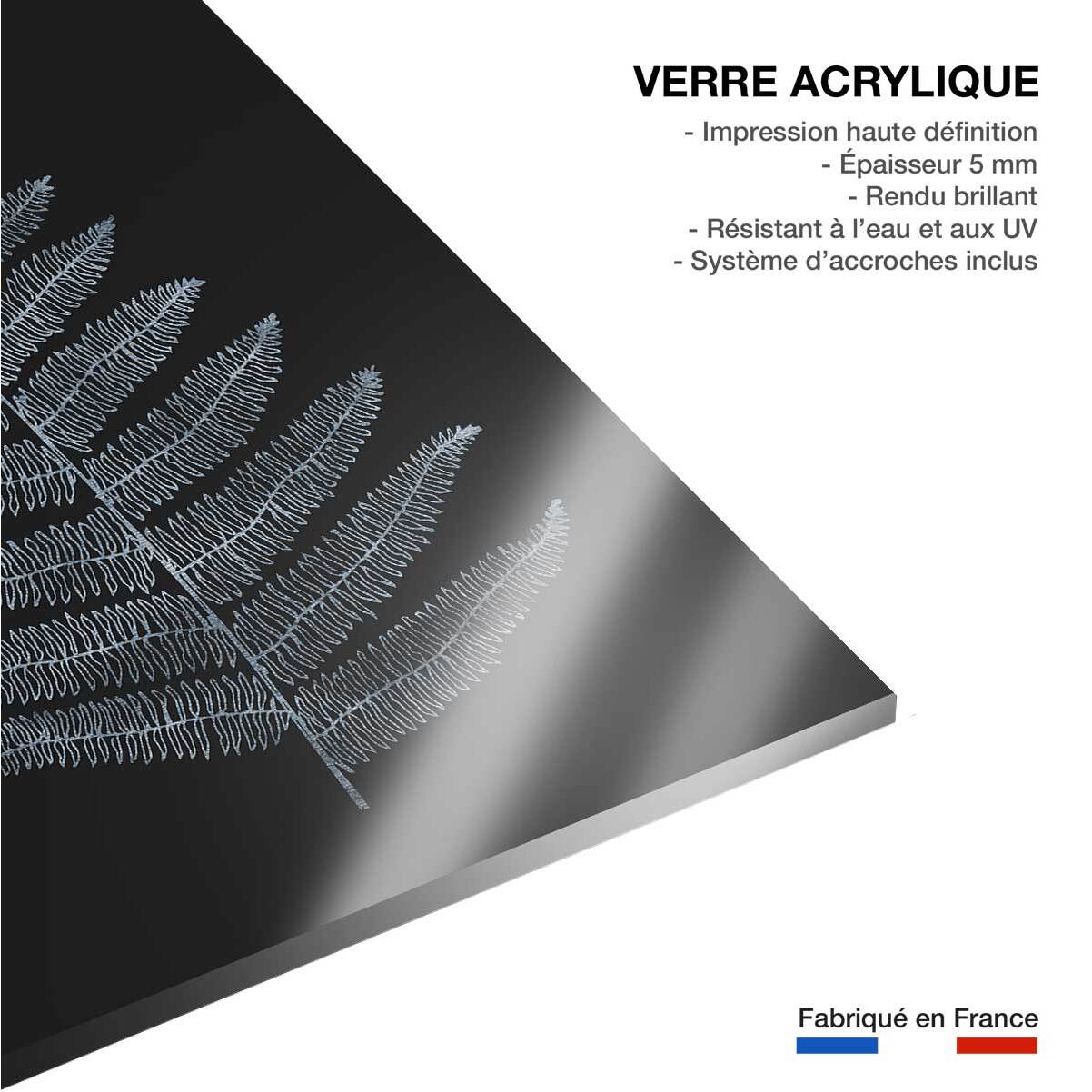 Tableau fougère royale blanche Tableau plexiglas