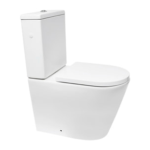 Project ensemble WC à poser sans bride & mécanisme de chasse GEBERIT + abattant SoftClose, blanc brillant (SATPRO31G)