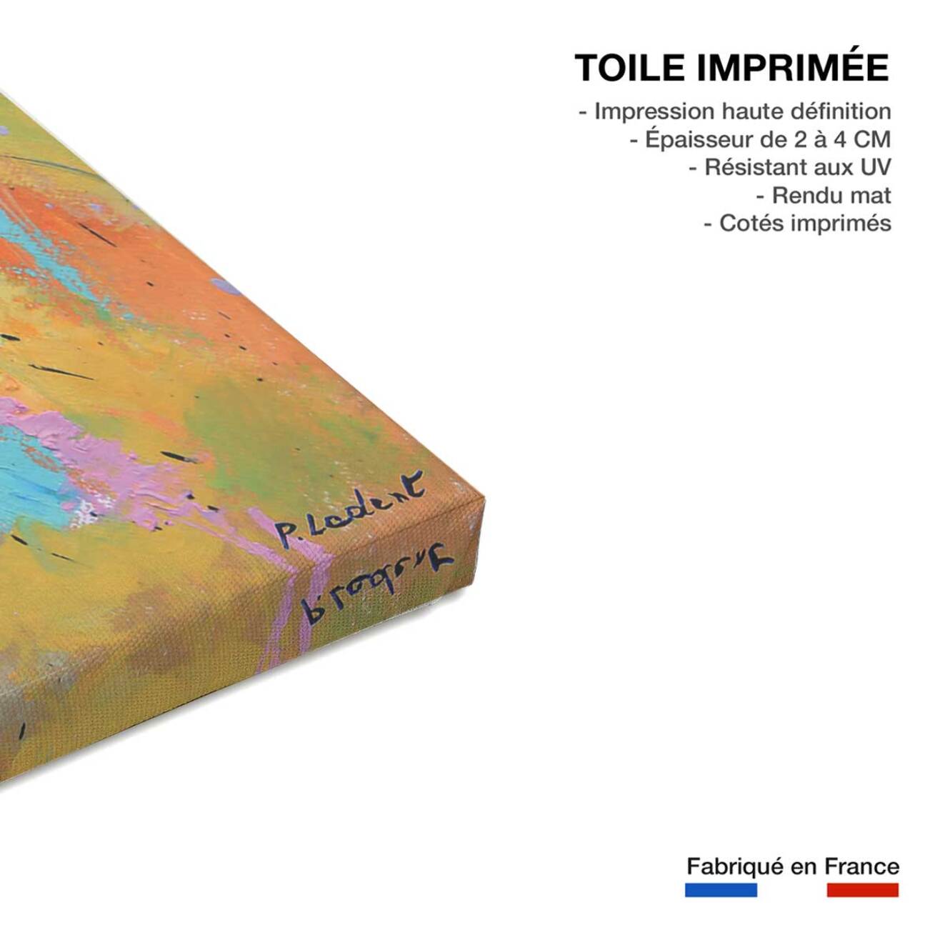 Tableau reproduction originale secret azur Toile imprimée