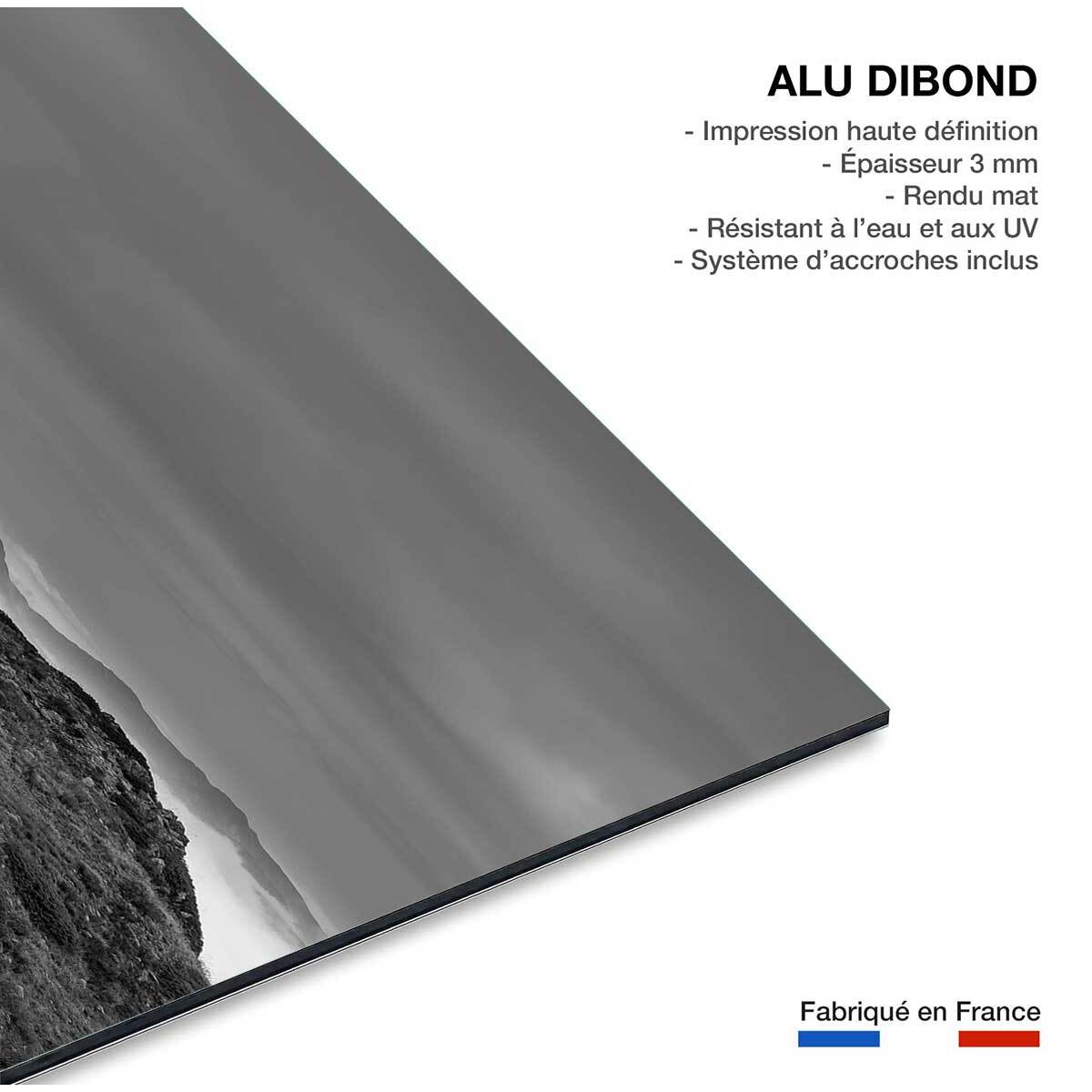 Tableau chamois et mercantour Tableau alu Dibond