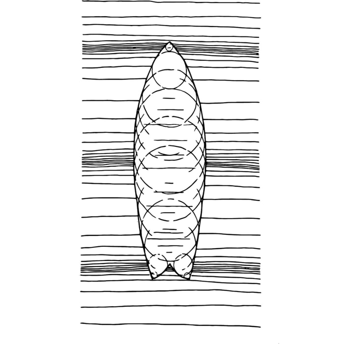 Tableau surf géo Tableau alu Dibond