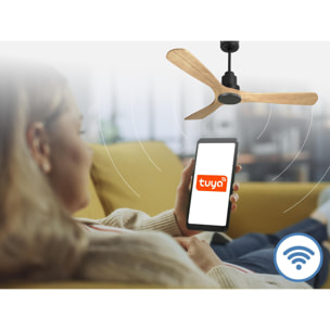 Ventilador de techo Modo Invierno/Verano Termostato Wifi Motor DC Techos Inclinados Mando a Distancia Hypersilence Memoria Vendible Shopify (AUTOMATICO) ParosD132C0464577 PURLINE