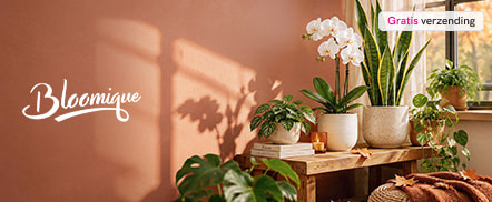 Bloomique_HPH Planten en bloemen