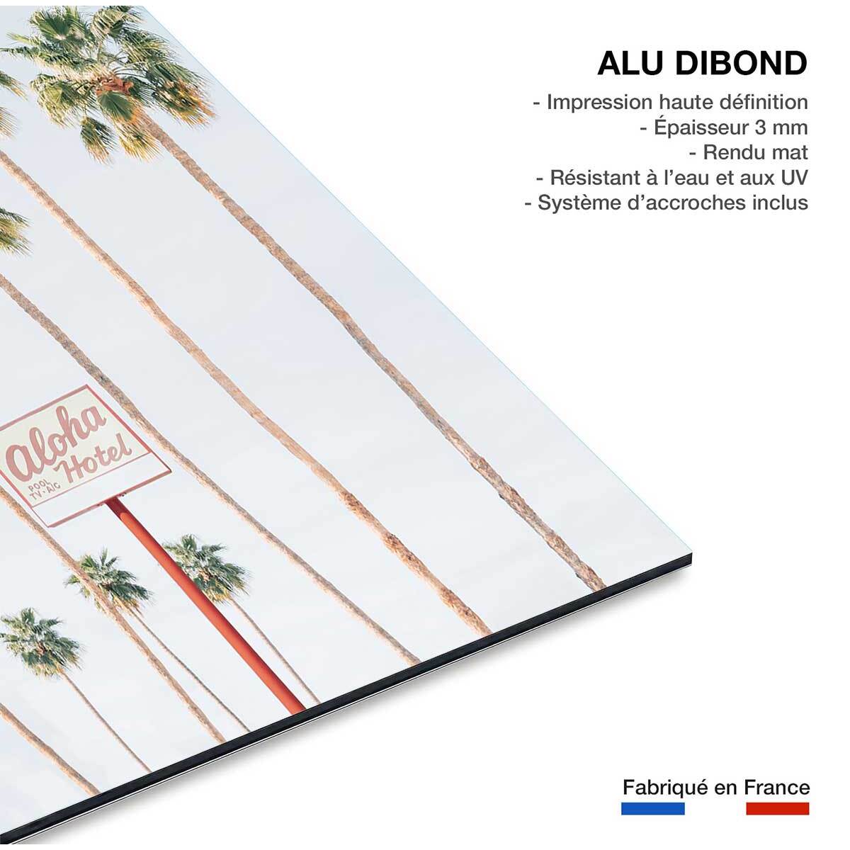 Tableau palmier aloha palmier  Tableau alu Dibond