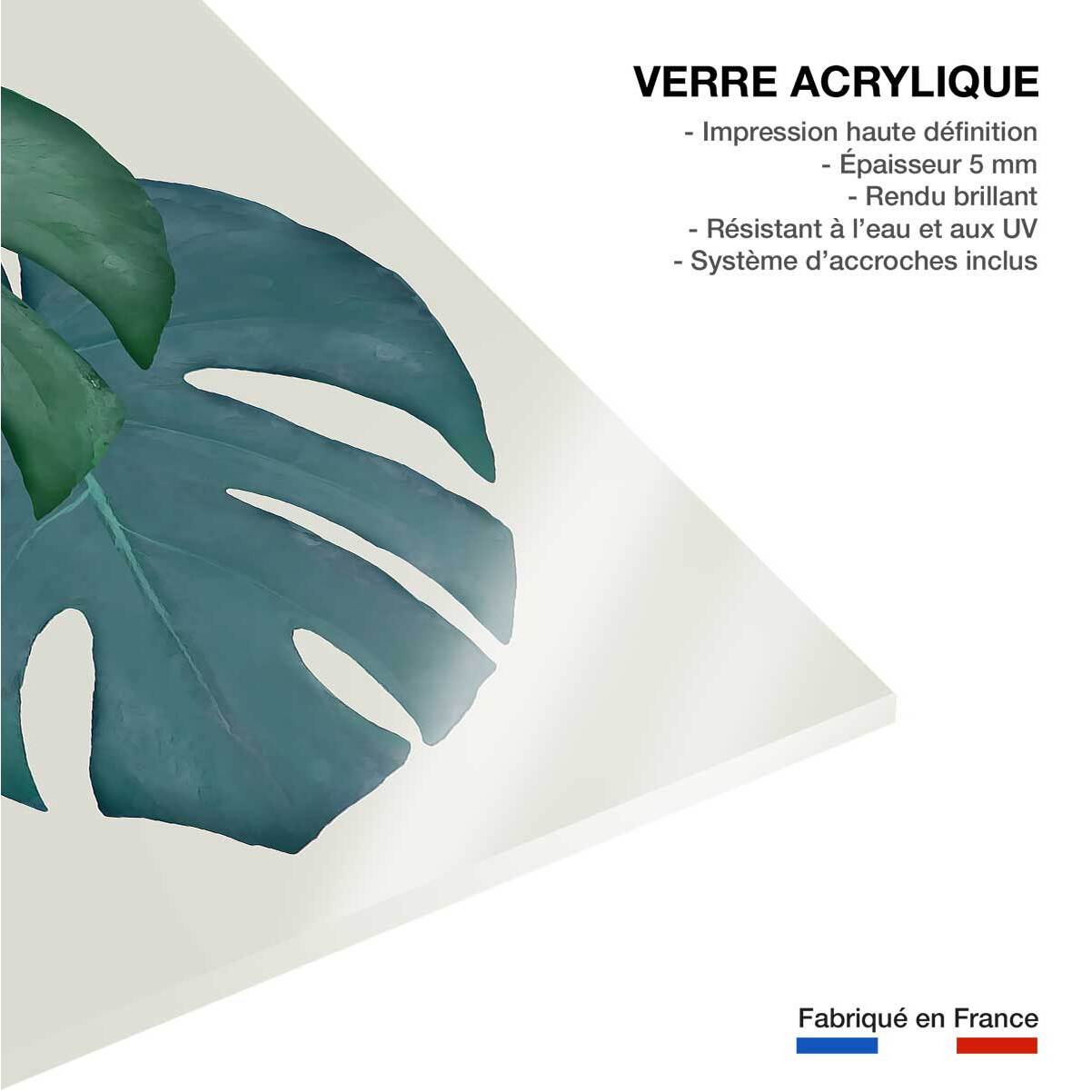Tableau Monstera turquoise Tableau plexiglas