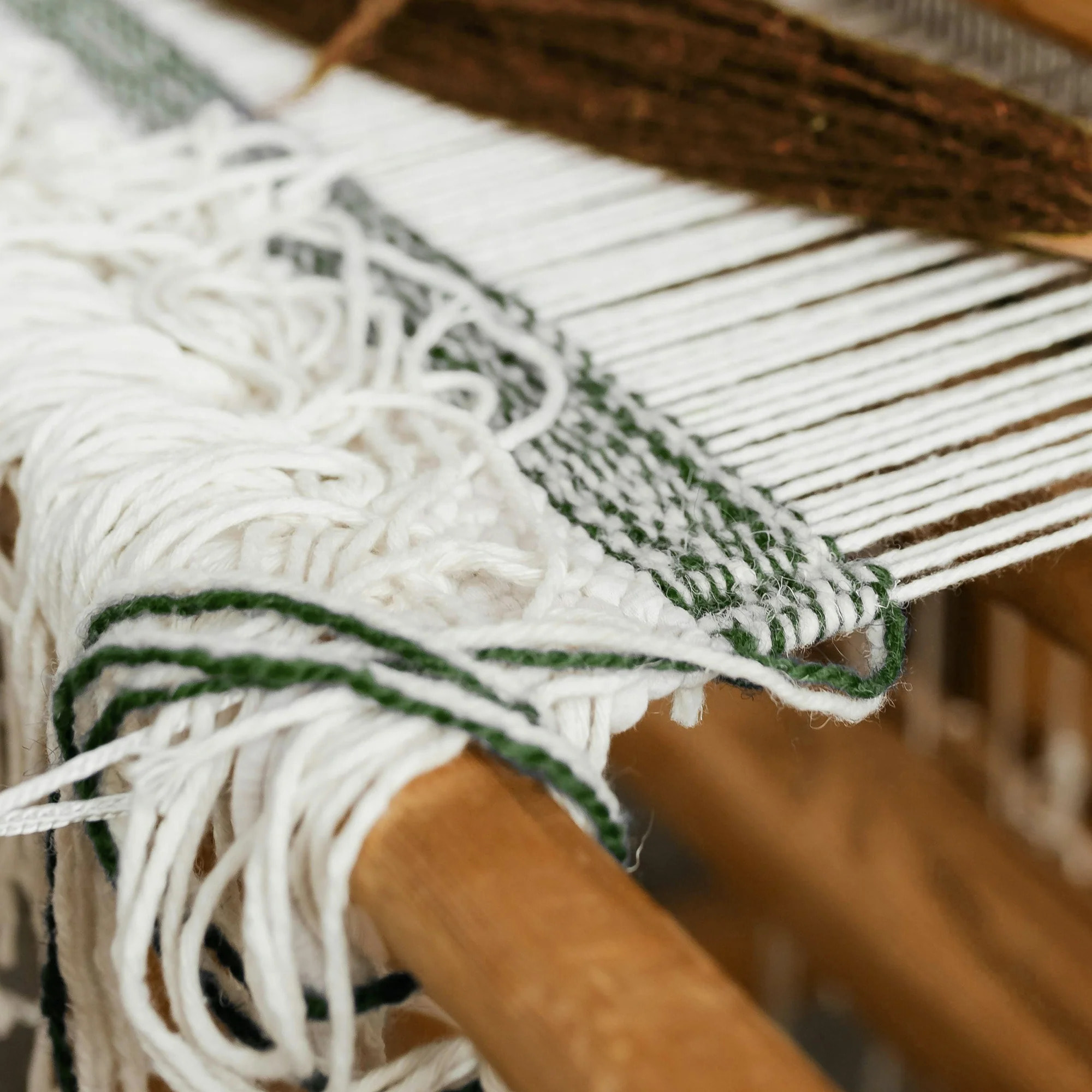 Housse de couette 100 % coton 80 fils Lluc Vert