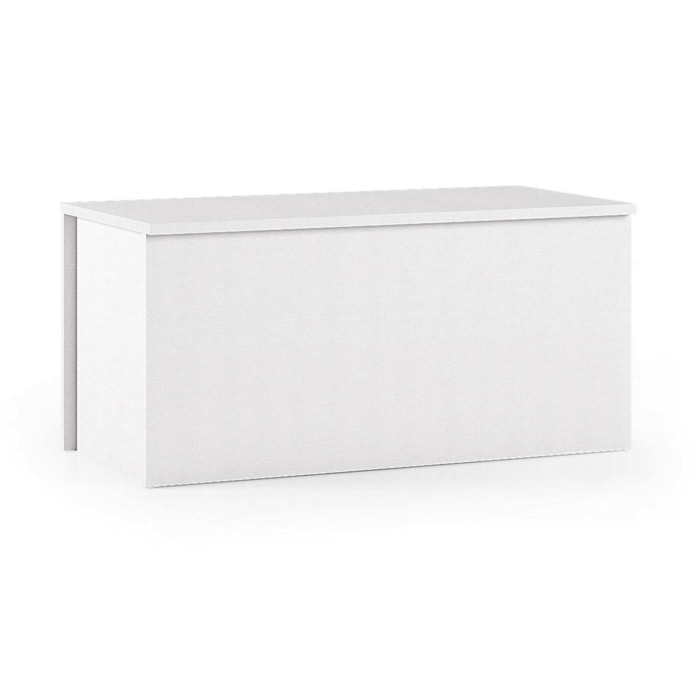Baule Ayusnay, Capiente box contenitore multiuso, Cassapanca moderna, 100% Made in Italy, 90x45h45 cm, Bianco