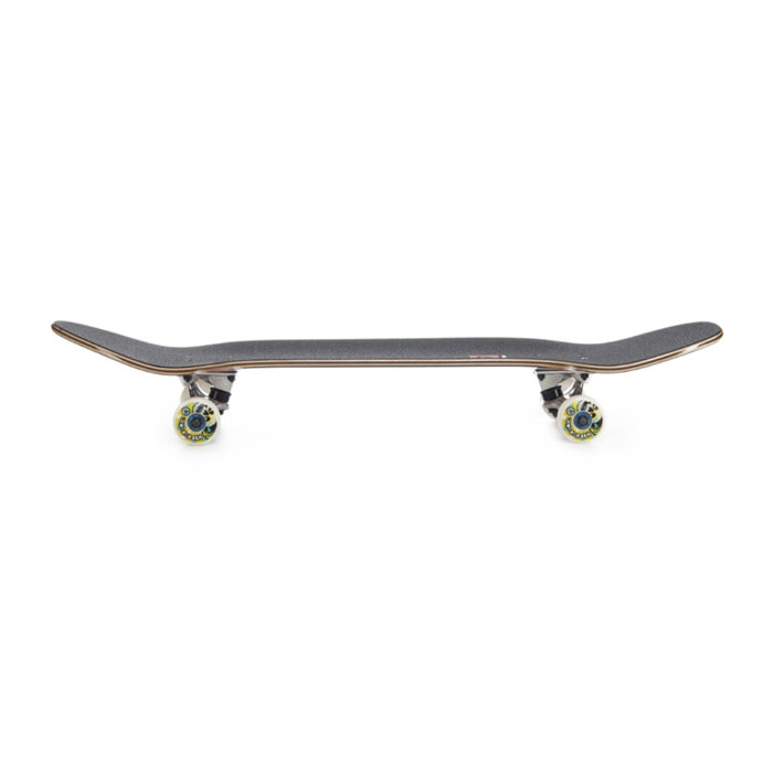 Skate completo Hydroponic POOL CO FREDY POOL SHAPE