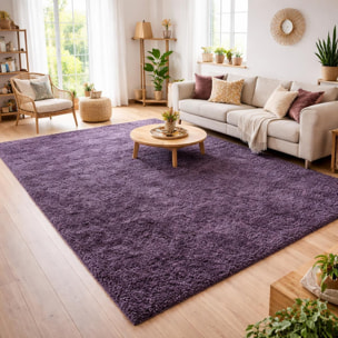 Tapis poils longs shaggy tissé motif uni ZASIVE