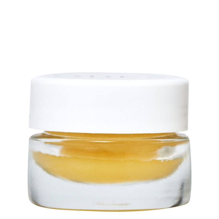 Amande, Noisette et Tournesol - Baume à Lèvres 7 ml