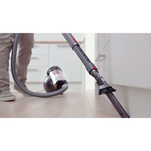 Aspirapolvere Dyson Big Ball Absolute 2​