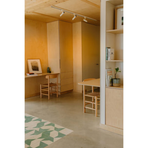 LEO Proyector de carril blanco