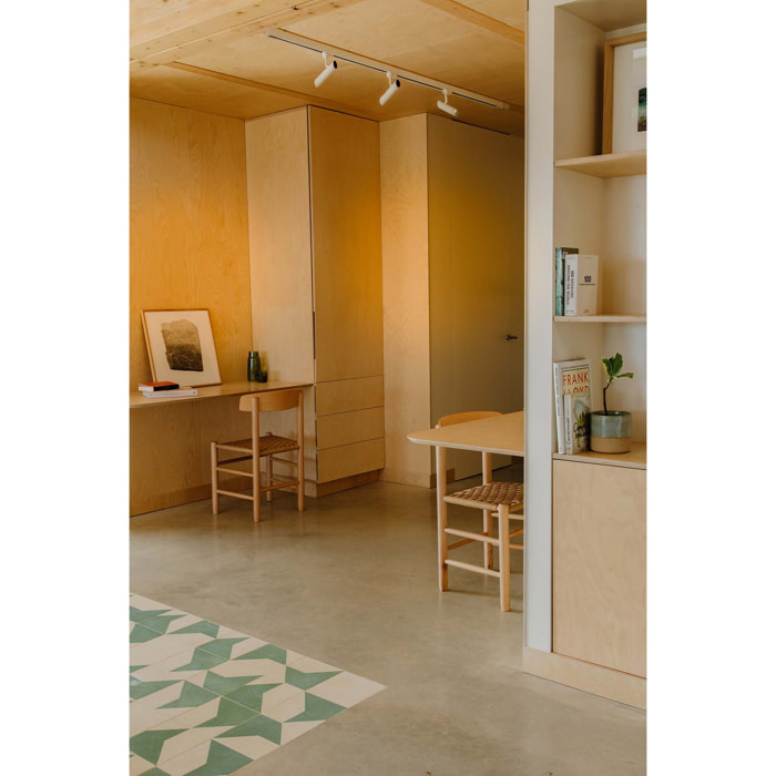 LEO Proyector de carril blanco