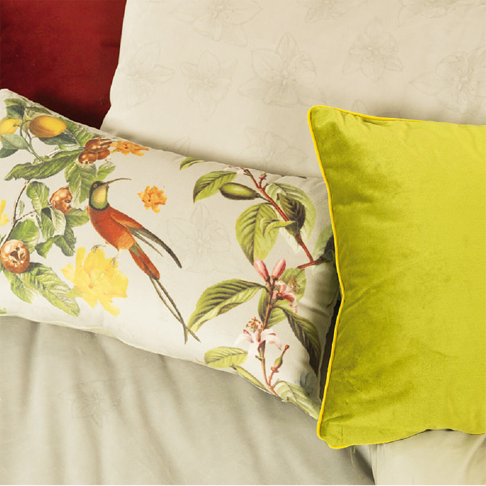 Housse de couette coton & autres fibres imprimé gris Ete indien gris
