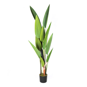Planta Artificial Ave Del Paraiso 188 Cm