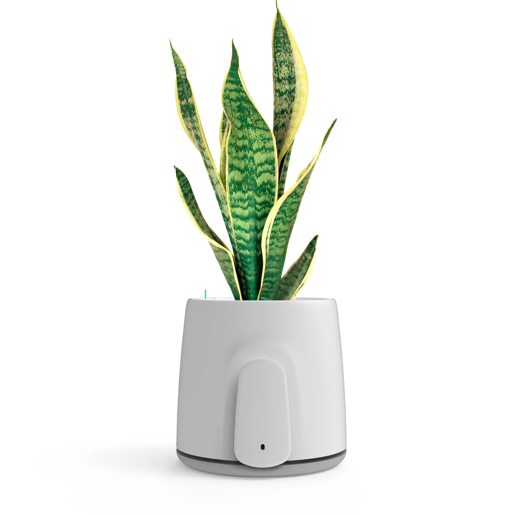 Natede Smart, purificatore d'aria naturale con sistema di monitoraggio