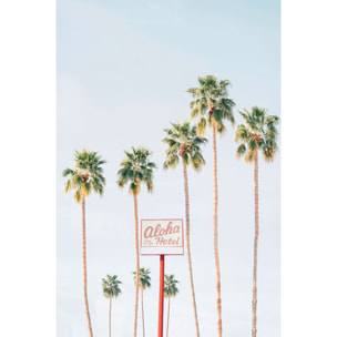 Tableau palmier aloha palmier  Tableau alu Dibond