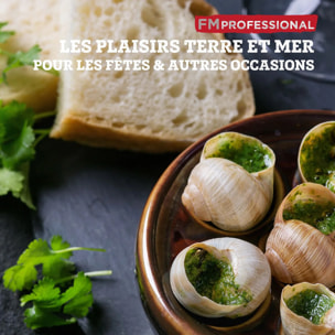 Lot de 4 pinces à escargot FM Professional
