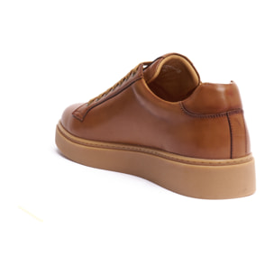 Sneaker British Passport Marrone