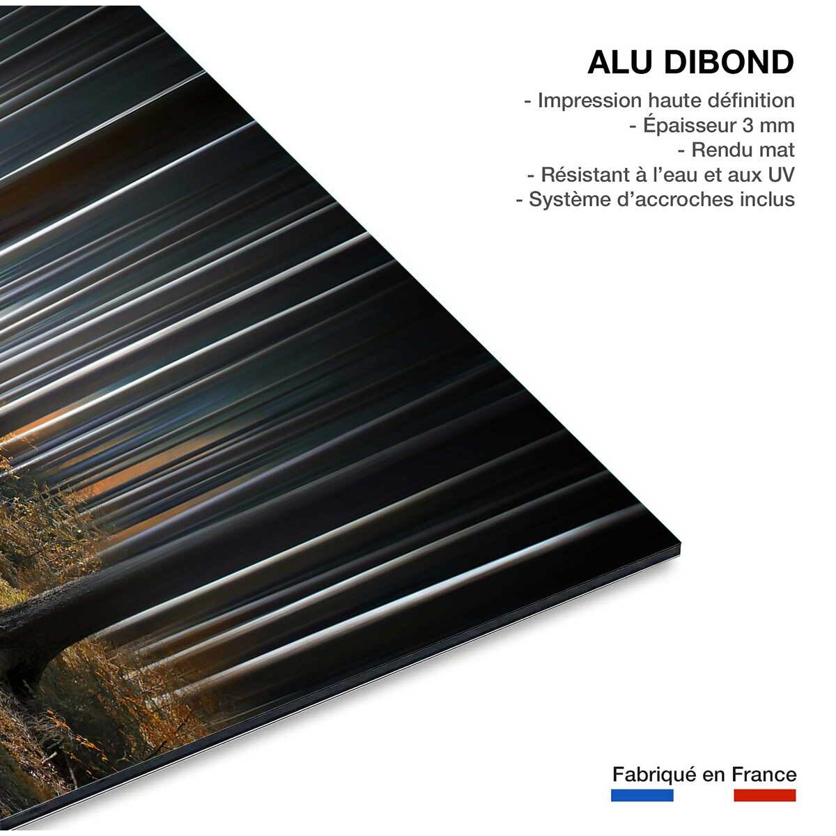 Tableau forêt fantastique Tableau alu Dibond