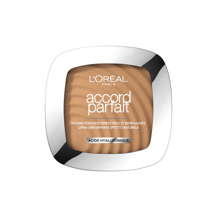 L'Oréal Paris Poudre Accord Parfait 6D Miel Doré