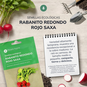 Semillas de Rabanito redondo rojo saxa ecológicas Planeta Huerto
