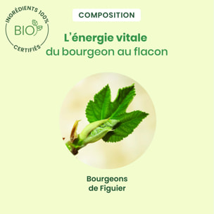 Herbalgem- Bourgeon de Figuier - spray - Bio - 15 ml