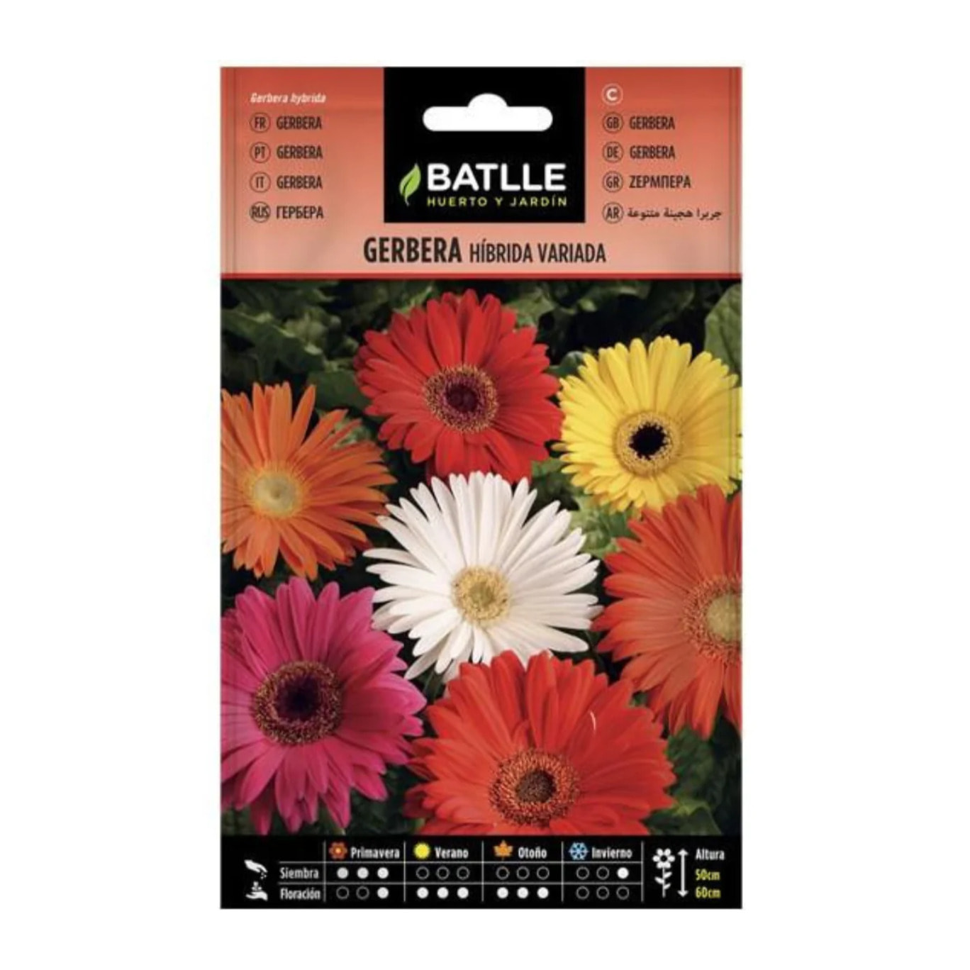 Semillas de Gerbera Batlle