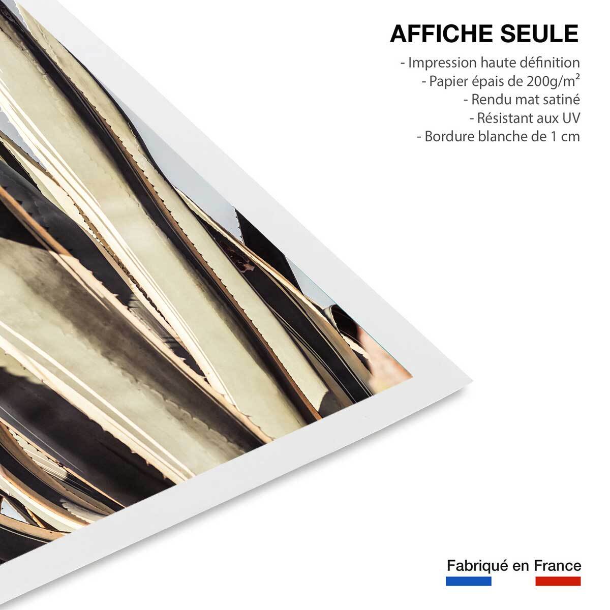 Poster cactus mexicain Affiche seule