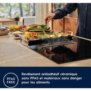 ACCESSOIRE ELECTROLUX Plancha grill pour four et table E9HHPG11