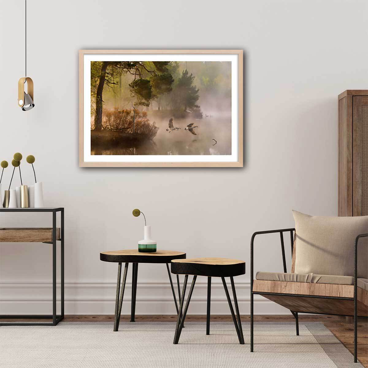 Affiche paysage oies sauvages Affiche + cadre en bois - Chêne