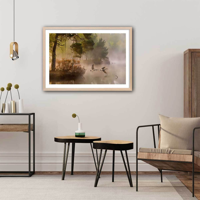 Affiche paysage oies sauvages Affiche + cadre en bois - Chêne