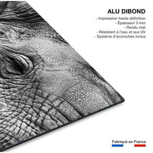 Tableau animaux Peau d'éléphant Tableau alu Dibond