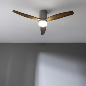 Cecotec Ventilatore da soffitto con luce EnergySilence Aero 5600 Aqua IronDarkWo