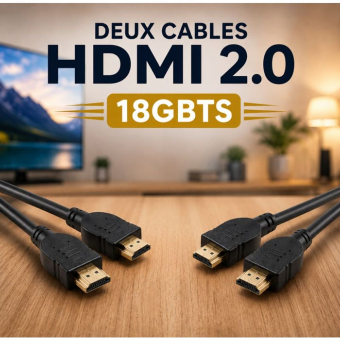 Câble HDMI ESSENTIELB x2 HDMI 2M noir droit 2.0