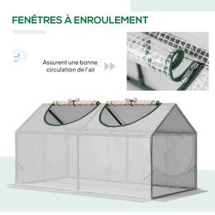 Mini serre de jardin serre à tomates 120 x 60 x 60 cm 2 fenêtres zippées enroulables acier thermolaqué PE haute densité blanc