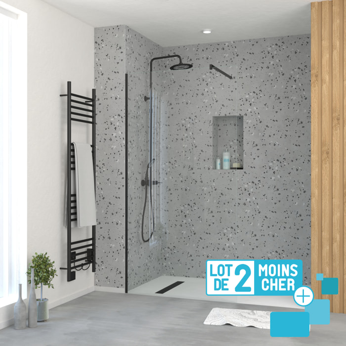 LOT de 2 Parois de Douche 100x195 cm en Verre Trempé 5 mm - Profilés et Bras Noirs